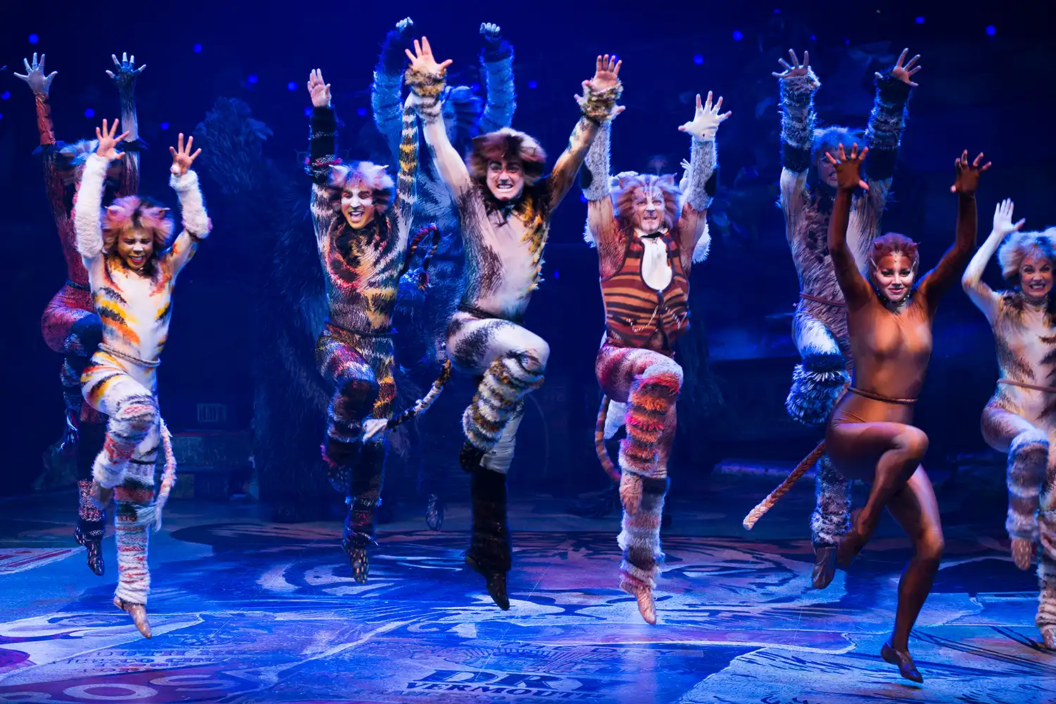 Cats: The Jellicle Ball en Broadway 2026
